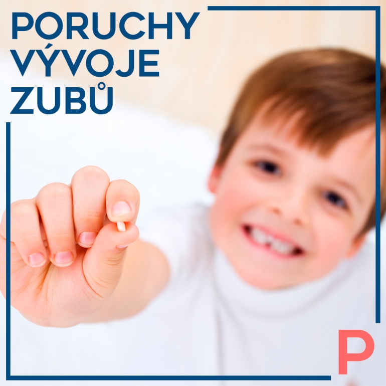 Lektor/ka projektu Nechci kazy Lektor/ka projektu Nechci kazy