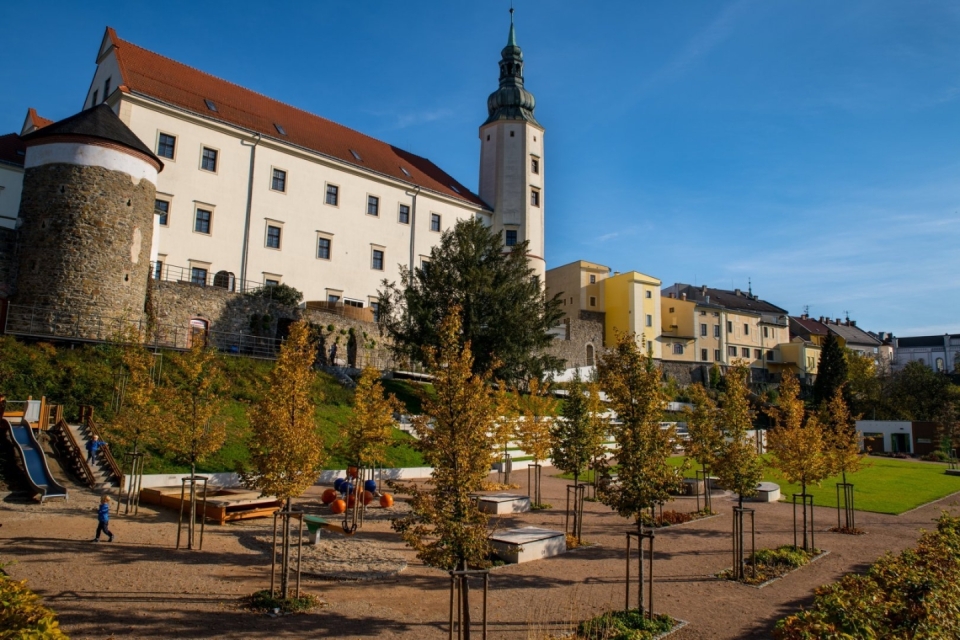 Zubní lékař / zubní lékařka – Hranice