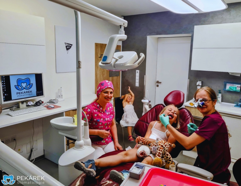 Dentální hygienistka /dentální hygienista