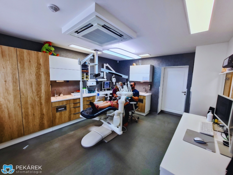 Dentální hygienistka /dentální hygienista