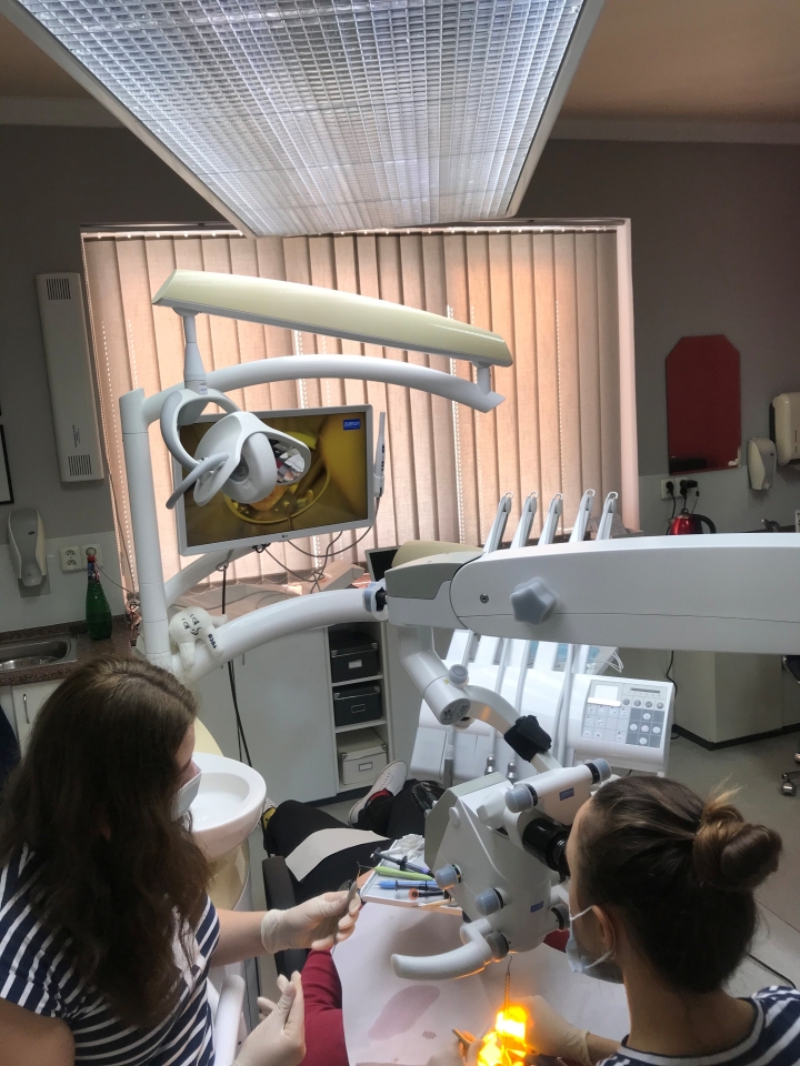 Zubní lékař/zubná lekárka pracovna pozici