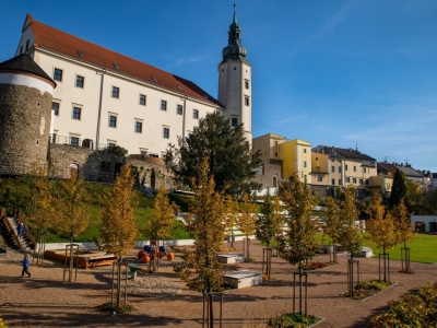 Zubní lékař / zubní lékařka – Hranice