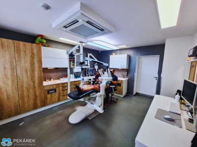 Dentální hygienistka /dentální hygienista