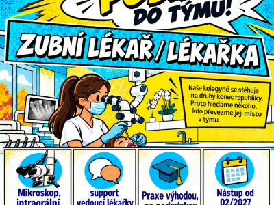 Zubní lékař / lékařka