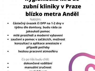 přijmu DH 1-2 dny Praha Anděl