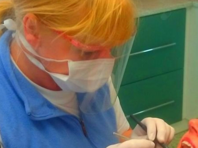 Dentální hygiena Ostrva